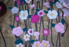  تعليم الشرقية: فاقوس التعليمية الاول على المديرية فى الاقتصادالمنزلى   