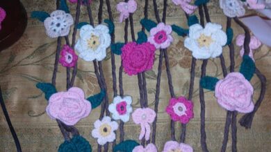  تعليم الشرقية: فاقوس التعليمية الاول على المديرية فى الاقتصادالمنزلى   