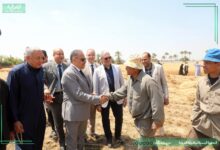  محافظ الشرقيه يشهد اعمال موسم حصاد القمح بحقول ابو سمران  