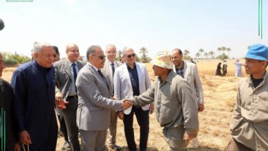  محافظ الشرقيه يشهد اعمال موسم حصاد القمح بحقول ابو سمران  