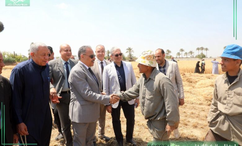  محافظ الشرقيه يشهد اعمال موسم حصاد القمح بحقول ابو سمران  