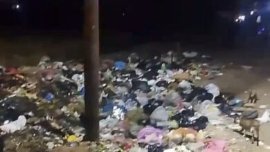 محافظ الشرقية يأمر برفع تراكمات القمامة بانتظام من الشوبك بسطة  