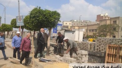 محافظ الشرقية إستكمال توسعة مداخل مدينة ابوحاد وإنشاء ممشى حضاري