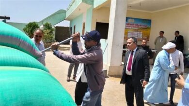 جهود مكثفة للوحدات المحلية ببني سويف في النظافة والتجميل ومواجهة التعديات وتحسين الخدمات