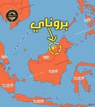 المقال الرابع عشر ” من سلسلة ممالك اسلامية لها تاريخ مجيد ..عظماء كتبوا التاريخ في الظل “.