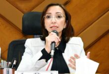 حملات بيطرية موسعة للتأكد من صلاحية الأسماك واللحوم المعروضة خلال احتفالات عيد القيامة المجيد