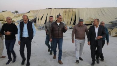 محافظة الجيزة تزيل أكبر تعدي على الأراضي الزراعية بأبو النمرس بمساحة ٦٠٠٠ م