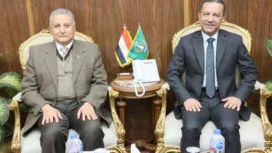 صرح جديد للمعرفة.. مكتبة مصر العامة بكفر المصيلحة تقترب من الافتتاح صرح جديد للمعرفة.. مكتبة مصر العامة بكفر المصيلحة تقترب من الافتتاح