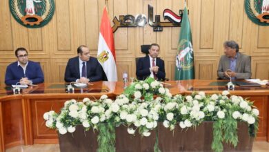 ملامح الجمال تُرسم من جديد.. المنوفية تبحث عن وجهها الحضاري