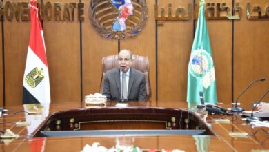 المنيا تبدأ موسم “الذهب الأصفر” بزيادة 16 ألف فدان عن المستهدف.. ومحافظ المنيا يعلن الجاهزية القصوى لـ42 موقعاً تخزينياً