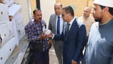 لحوم “صكوك الإطعام” تصل المنوفية.. دعمٌ جديد للأسر الأولى بالرعاية