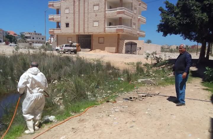 البعوض يحاصر المساعيد.. والصحة ترد بحملة مبيدات كاسحة في العريش