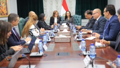 وزيرة التضامن الاجتماعي تستعرض أعمال المنظومة المالية الاستراتيجية للتمكين الاقتصادي وزيرة التضامن الاجتماعي تستعرض أعمال المنظومة المالية الاستراتيجية للتمكين الاقتصادي