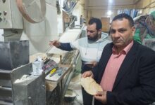 تحرير عشرات المحاضر لأنشطة تموينية وتجارية مخالفة بالإسكندرية 