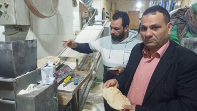 تحرير عشرات المحاضر لأنشطة تموينية وتجارية مخالفة بالإسكندرية 