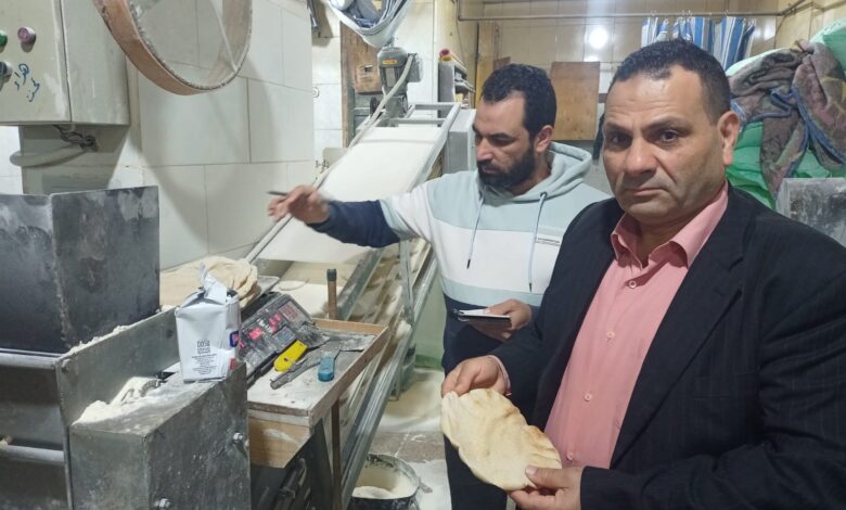 تحرير عشرات المحاضر لأنشطة تموينية وتجارية مخالفة بالإسكندرية 