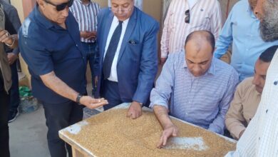 وكيل. وزارة التموين بالفيوم  متوقع استلام ٢٠٠ الف طن من القمح هذا الموسم