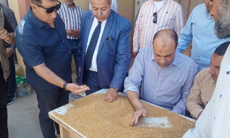 وكيل. وزارة التموين بالفيوم  متوقع استلام ٢٠٠ الف طن من القمح هذا الموسم