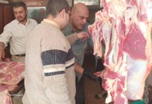 بيطري القليوبية: ضبط ذبيحة خارج المجازر غير صالحة للاستهلاك الآدمى ببنها
