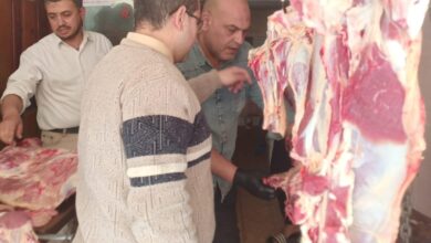 بيطري القليوبية: ضبط ذبيحة خارج المجازر غير صالحة للاستهلاك الآدمى ببنها