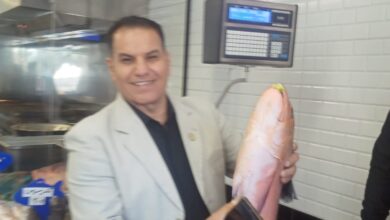 منافذ كارى اون تعرض اسعار مخفضة  للاسماك