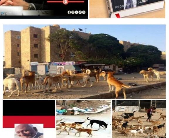 أفكار لحل الازمة الاقتصادية لمصر أفكار لحل الازمة الاقتصادية لمصر