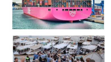 الشيزوفرنيا العربية