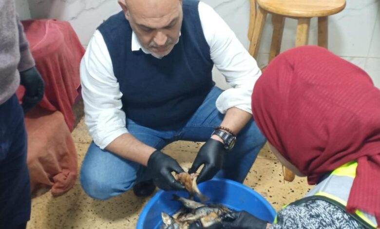  بيطرى القليوبية: ضبط 1.5 طن أسماك مملحة غير صالحة للاستهلاك الآدمى