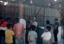 إزالة تعديات على حرم الطريق بهوارة المقطع