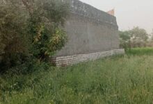 محافظ الفيوم يوجه بإزالة فورية لتعدٍ على الأرض الزراعية بزاوية الكرادسة وإجراءات رادعة ضد المخالفين