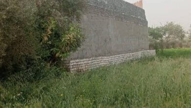 محافظ الفيوم يوجه بإزالة فورية لتعدٍ على الأرض الزراعية بزاوية الكرادسة وإجراءات رادعة ضد المخالفين