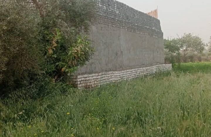 محافظ الفيوم يوجه بإزالة فورية لتعدٍ على الأرض الزراعية بزاوية الكرادسة وإجراءات رادعة ضد المخالفين