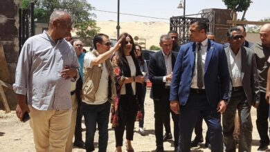 جيهان زكي تقود خطة تطوير شاملة لقصور الثقافة بأسوان