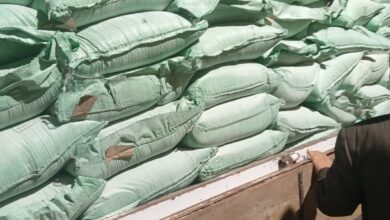 محافظ الغربية يُعلن إحباط محاولة تهريب 9 أطنان من الدقيق المدعم قبل طرحها في السوق السوداء