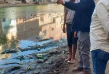 استجابة عاجلة من الفيوم.. إنهاء أزمة طفح الصرف الصحي بالسنباط ومناشي الخطيب ورفع كفاءة الشبكات