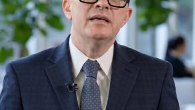 وزير التخطيط: إتاحة فرص العمل على رأس اهتمامات وأولويات الحكومة