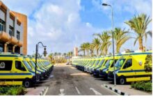 بلاغ غامض يقود إلى إنقاذ مُسنة بالفيوم.. تدخل عاجل للإسعاف بالتعاون مع «المصرية للاتصالات»