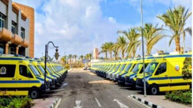 بلاغ غامض يقود إلى إنقاذ مُسنة بالفيوم.. تدخل عاجل للإسعاف بالتعاون مع «المصرية للاتصالات»