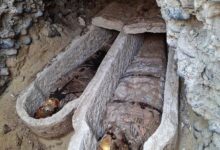 البعثة الإسبانية تكشف مقبرة رومانية نادرة وألسنة ذهبية بمدينة بهنسا فى المنيا