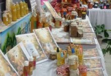 “تعليم الأقصر” يحصد المركز الأول على مستوى الجمهورية