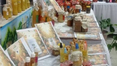 “تعليم الأقصر” يحصد المركز الأول على مستوى الجمهورية