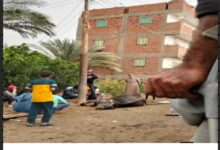 خسائر متواصلة للطقس السيئ في الفيوم.. نفوق جاموسة صعقًا بالكهرباء بطامية خلال الأمطار