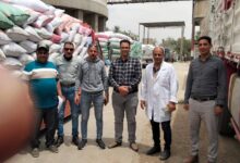 انطلاق موسم توريد القمح بسوهاج 2026