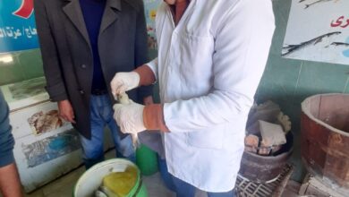 محافظ الغربية: حملات مكثفة خلال شم النسيم تضبط نصف طن فسيخ ورنجة غير صالحة و2200 رغيف مدعم وتحرر 63 محضرًا للمخابز