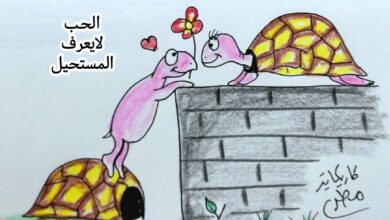 كاريكاتير الطبعه الأولى (الحب)