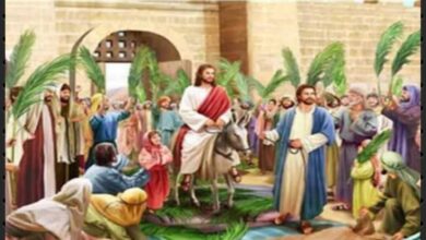 تهنئة بمناسبة أحد الشعانين