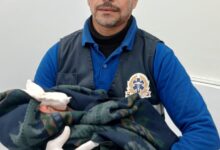 محافظ الغربية يشيد بجهود هيئة الإسعاف وسرعة تعاملها مع حالة ولادة مفاجئة بقرية محلة مرحوم خلال احتفالات شم النسيم 