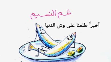 كاريكاتير الطبعه الأولى (وش الدنيا)