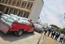 ” تموين الأقصر” يتسلم 152.210طن قمح من المزارعين خلال 48ساعة