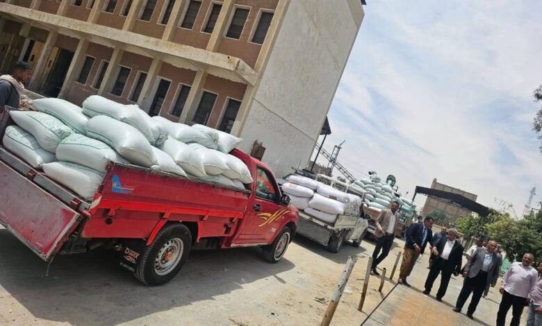 ” تموين الأقصر” يتسلم 152.210طن قمح من المزارعين خلال 48ساعة